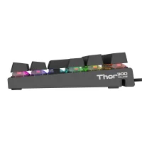 Клавиатура Genesis Thor 300 TKL RGB фото 4